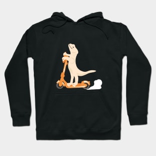 Scooter Gecko Hoodie